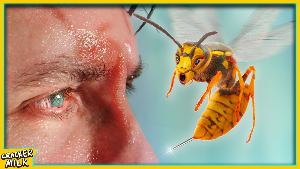 When there’s a wasp in the house