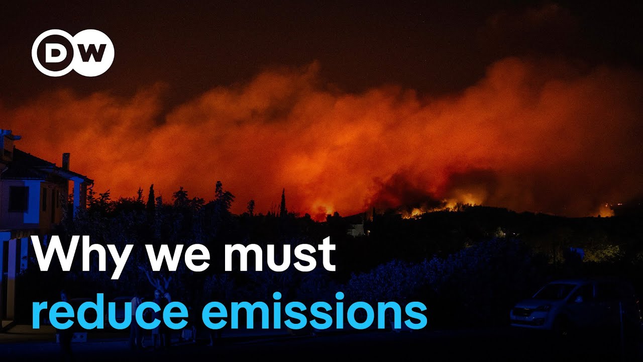 Why summer 2024 was hottest on record in northern hemisphere | DW News