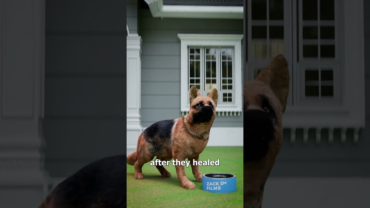 Why You Shouldn’t Debark Your Dog 😰