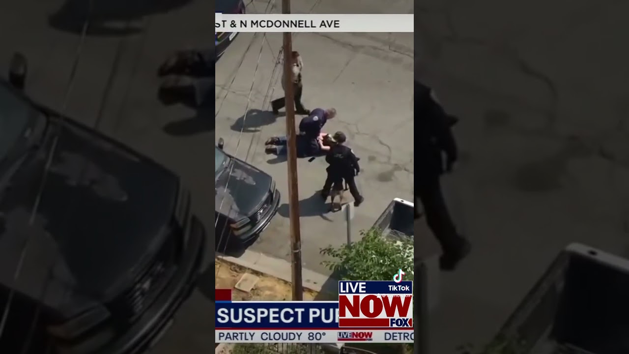 Wild 120mph high-speed LA police chase ends with on-foot pursuit and K9 arrest