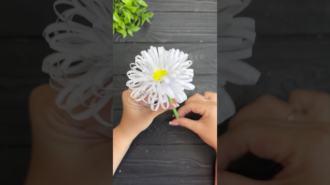 WoW! Easy Paper Craft Ideas! Home decor Paper Flowers