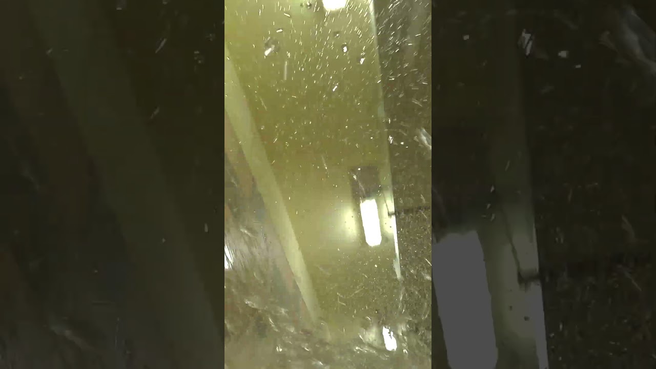 Yellow Water Slide 💦 at Waterpark Park Bešeňová 🇸🇰