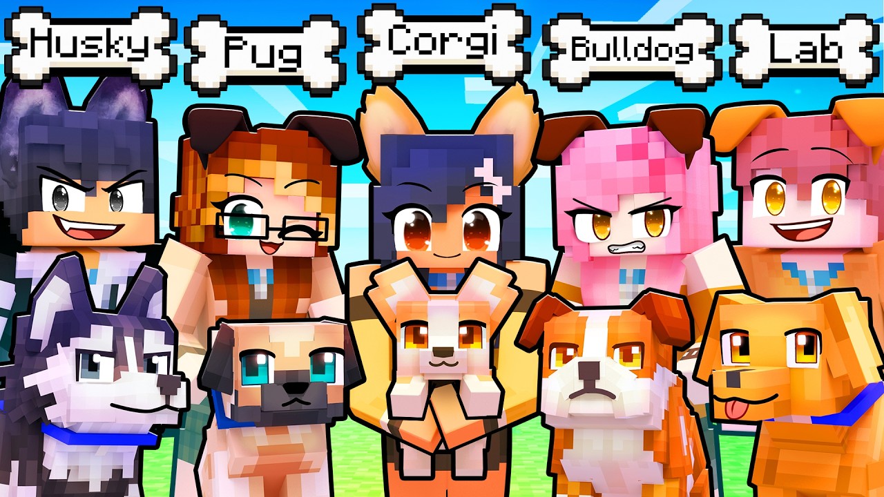 10 FRIENDS on one DOG BLOCK!