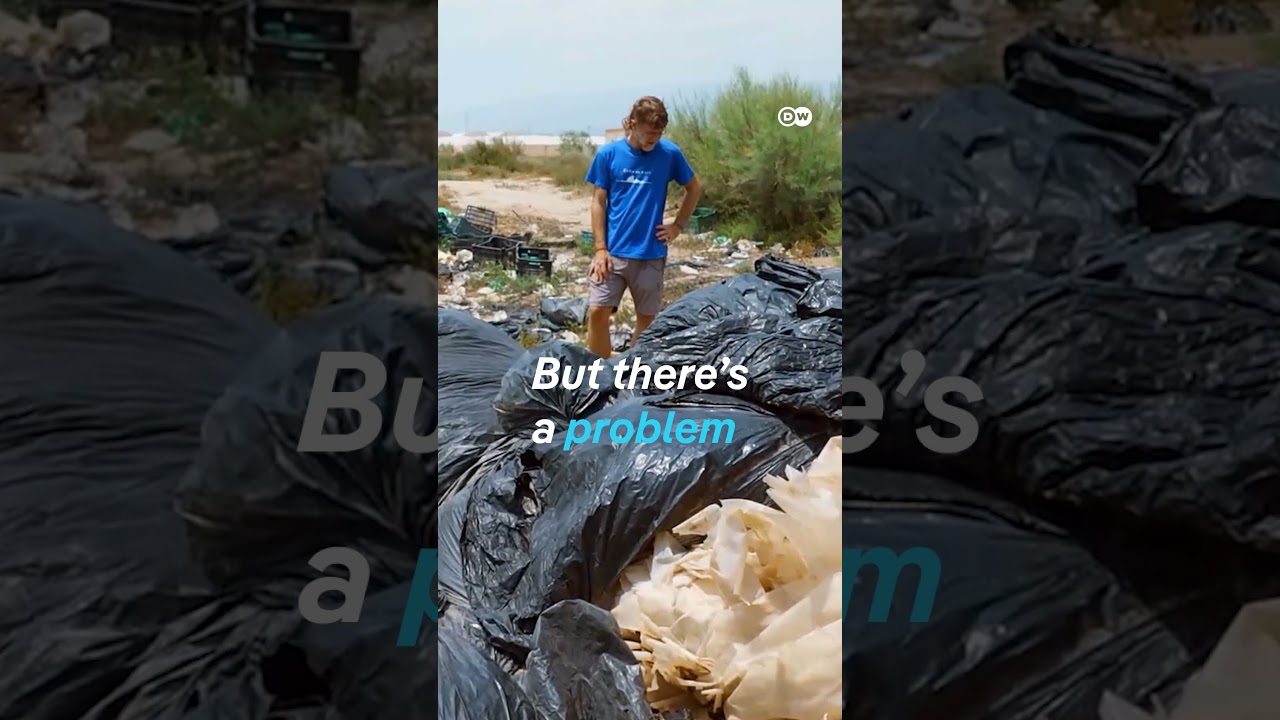An oasis in a sea of plastic | DW Documentary