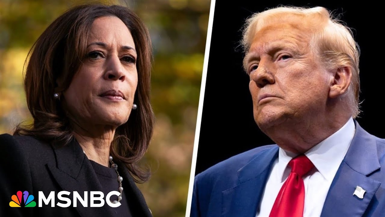 ‘Big struggle’ is getting people to trust voting system which has been ‘hampered’ by Trump