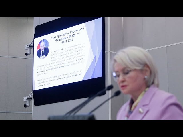 Bill criminalising ‘child-free propaganda’ passes first reading in Russia’s State Duma