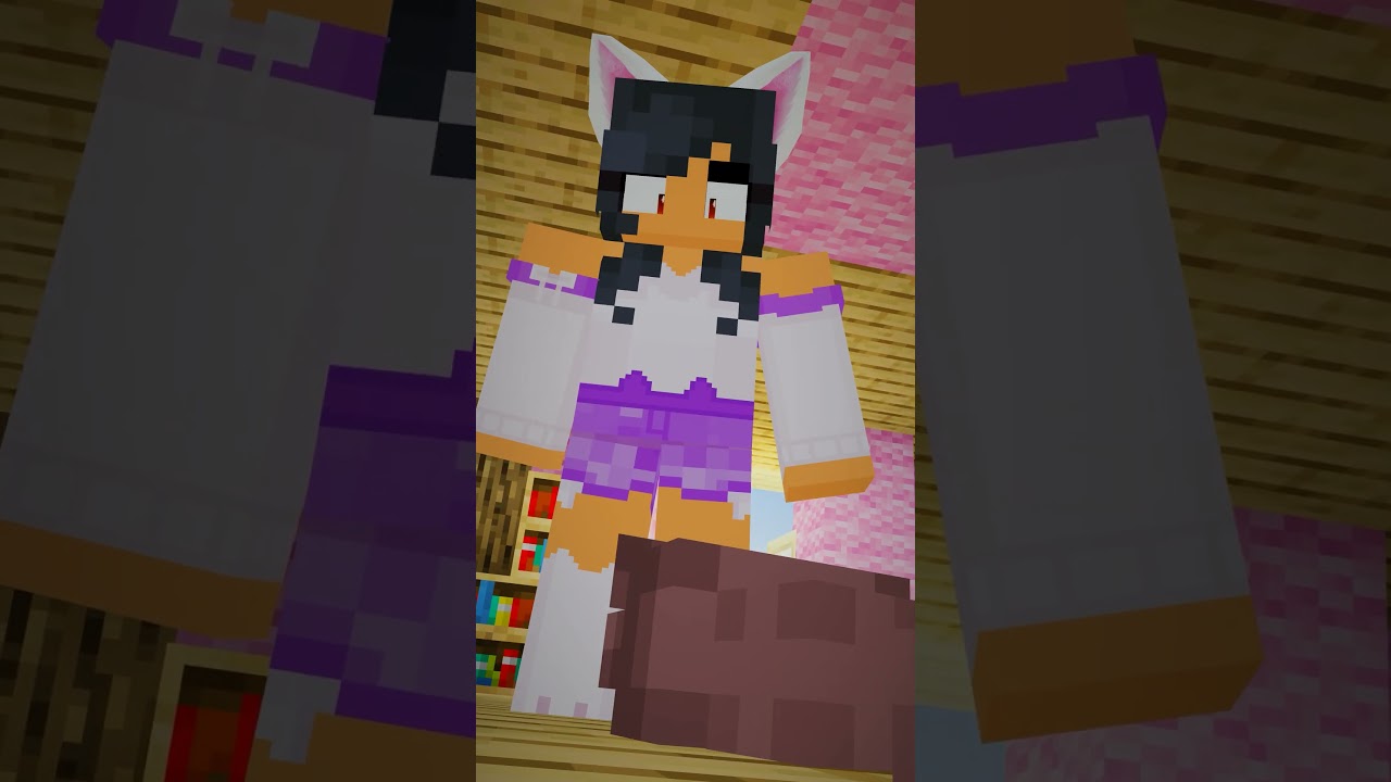 BIRTH to DEATH of a CAT