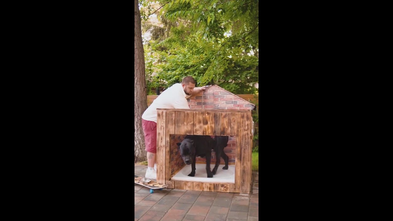 Building a bath house for your lovely pet