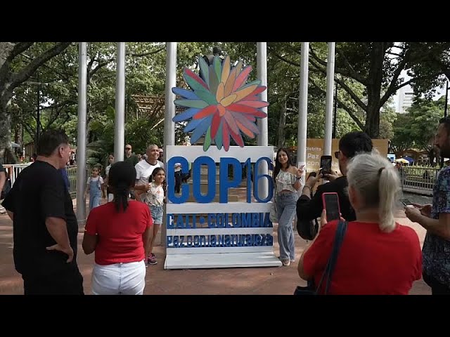 COP16 Biodiversity Summit: Urgent calls for action as global leaders gather in Cali