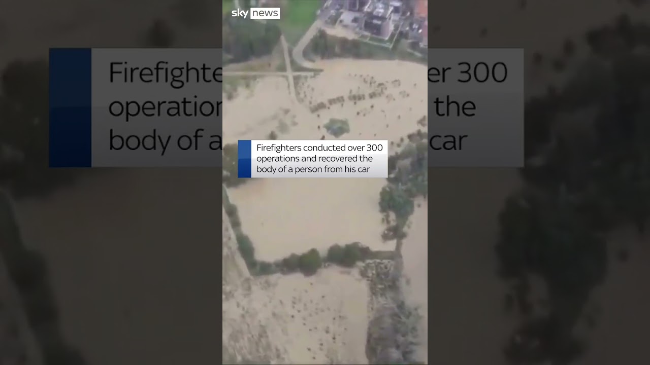 Dogs rescued from Italian flood