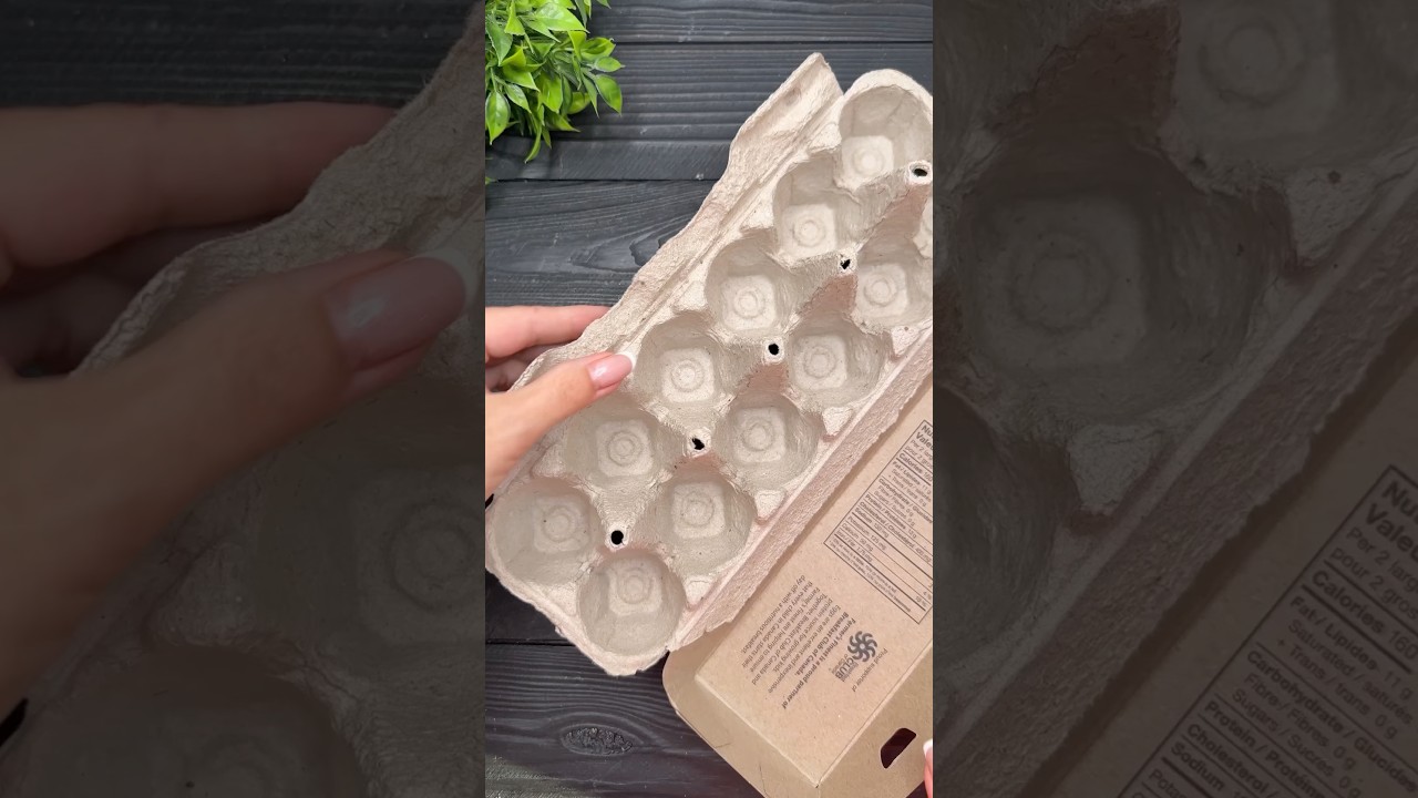 EASY Idea from Egg Carton Box EGG Tray Craft DIY Tutorial
