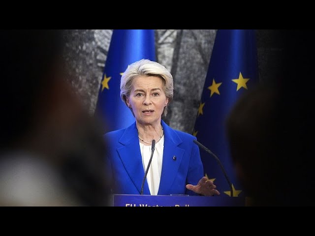 EU calls for swift probe of alleged irregularities in Georgia election