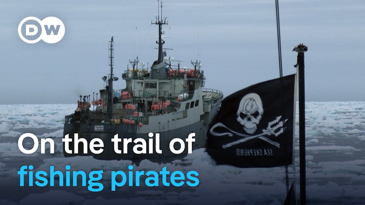 Fight against illegal fishing | DW Documentary