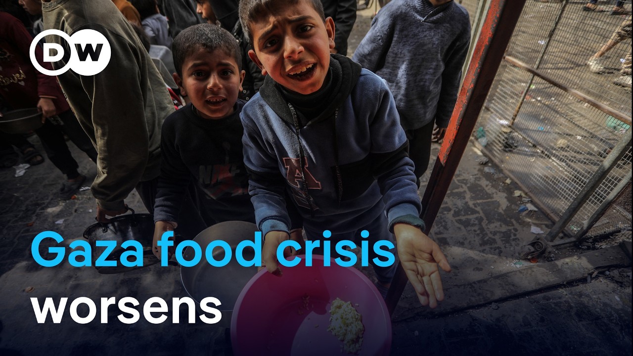 Gaza: How is humanitarian help still possible? | DW News