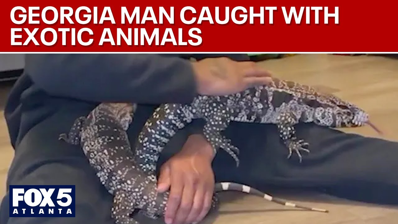 Georgia man caught with exotic animals says he had good intentions | FOX 5 News