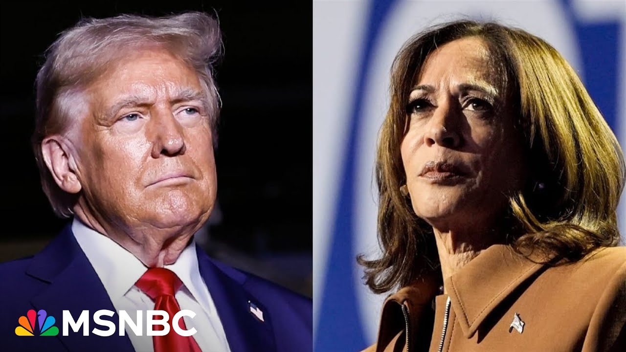 Harris and Trump impersonations take over TikTok