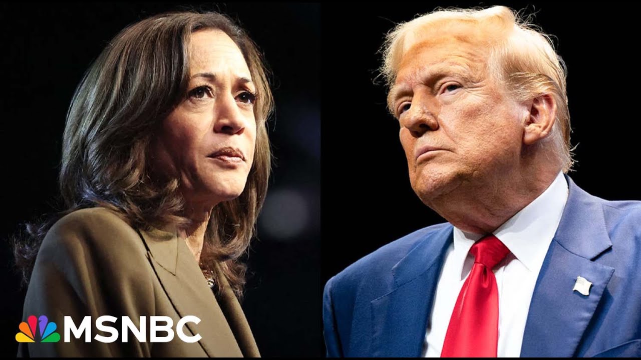 Harris wants to help folks; Trump wants to be in office to avoid charges, says DNC chair