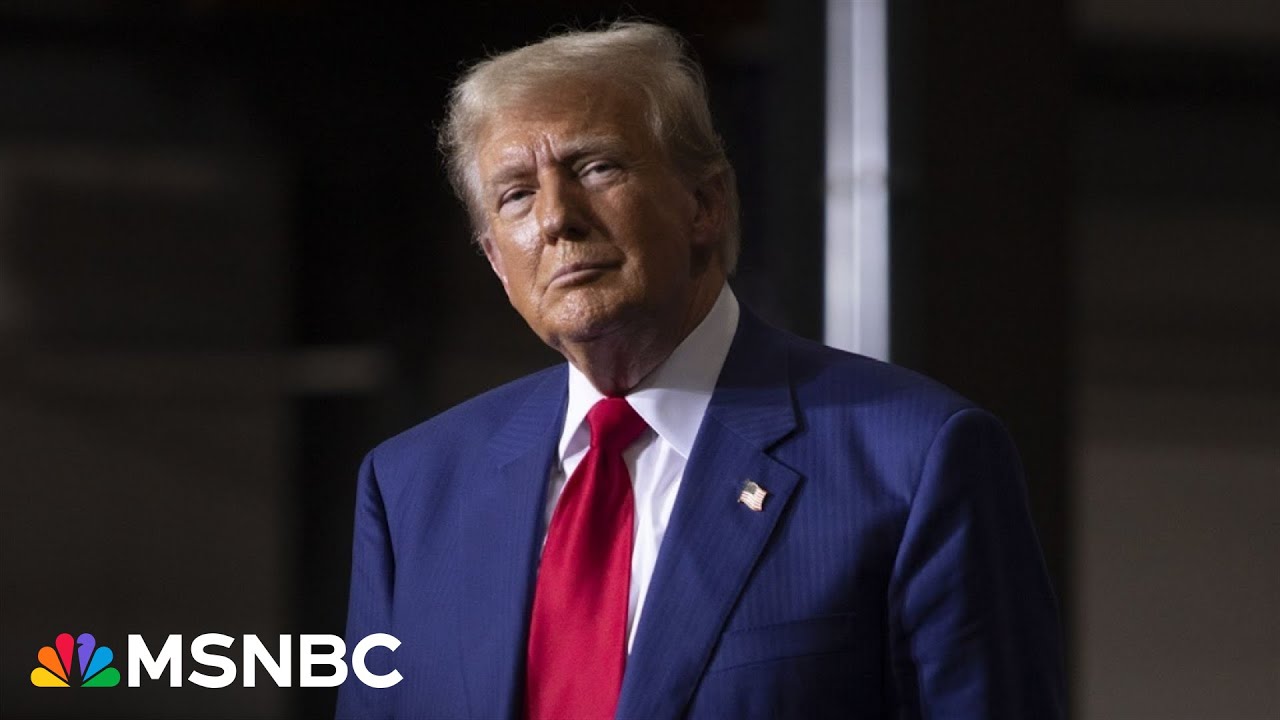 ‘He intends to do it’: Michael Cohen on Trump’s threat to ’round up’ opponents