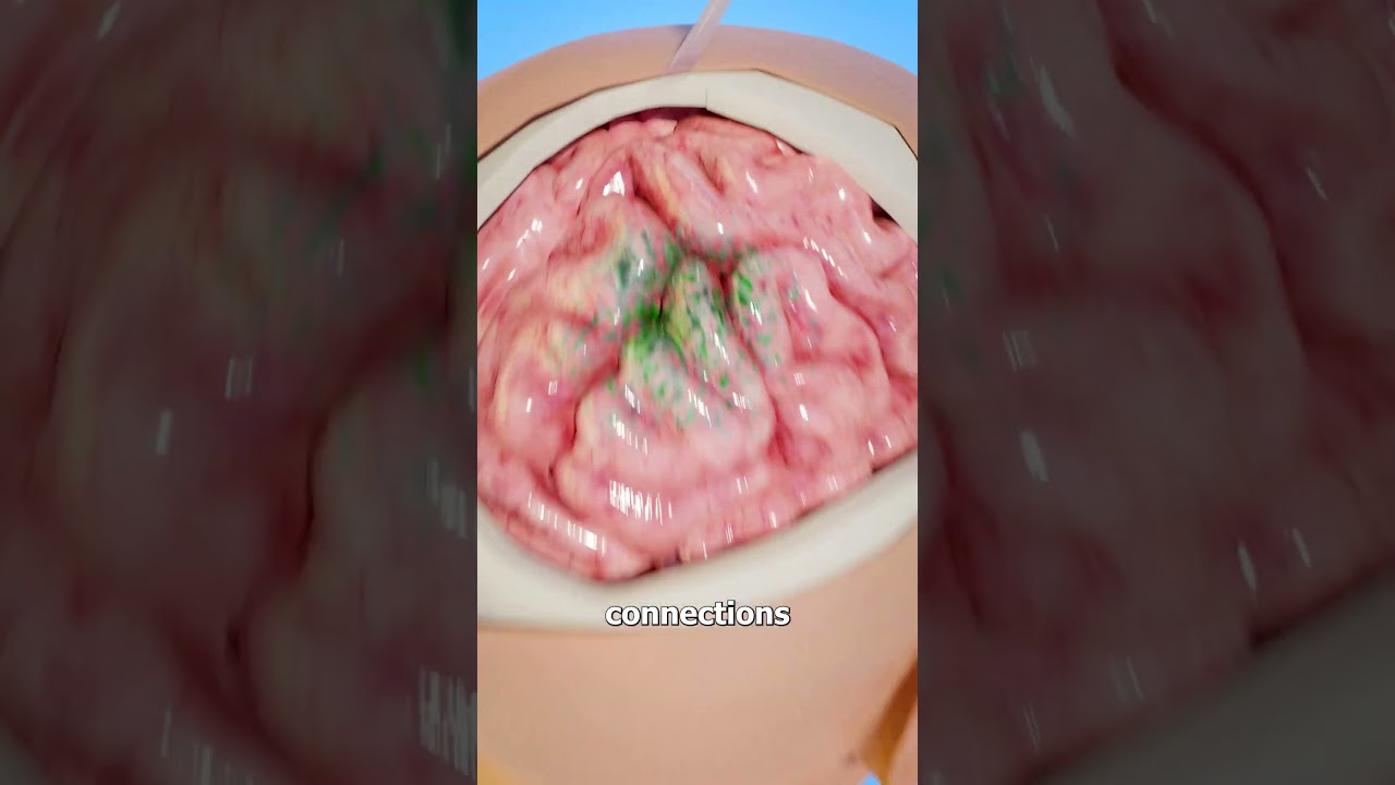 How Half Of Your Brain Is Removed 😨