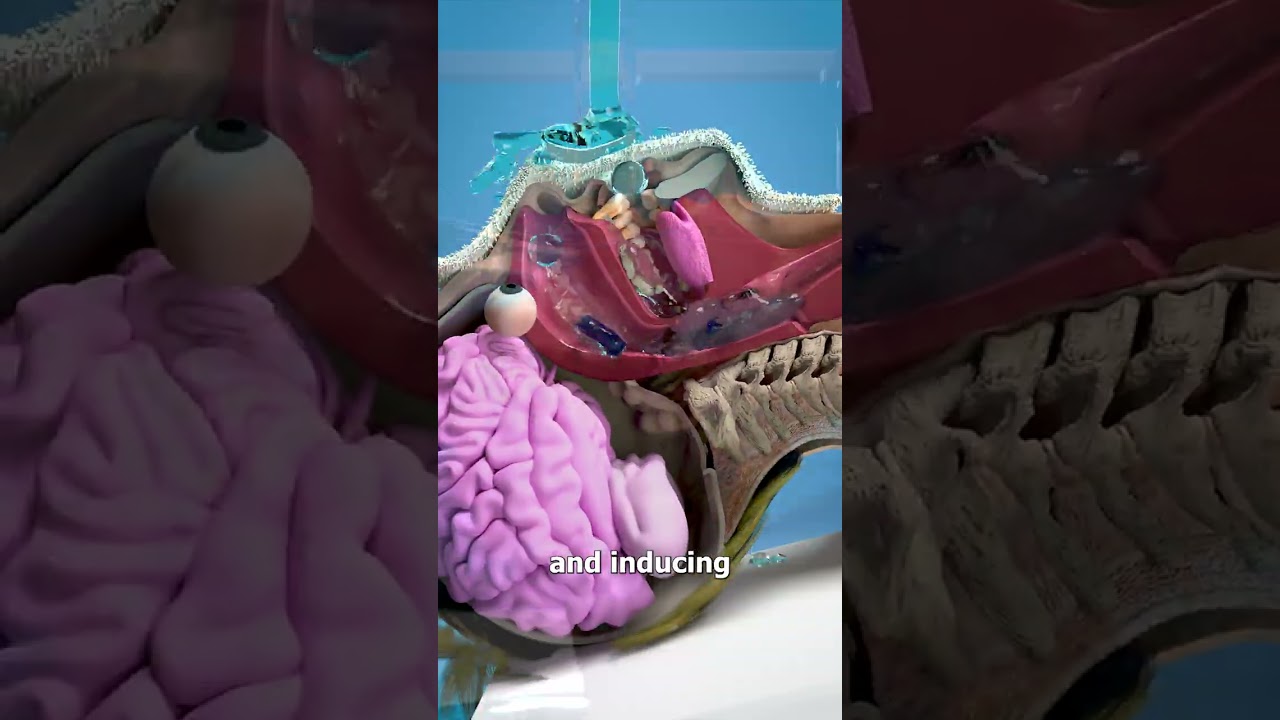 How Waterboarding Works 😱