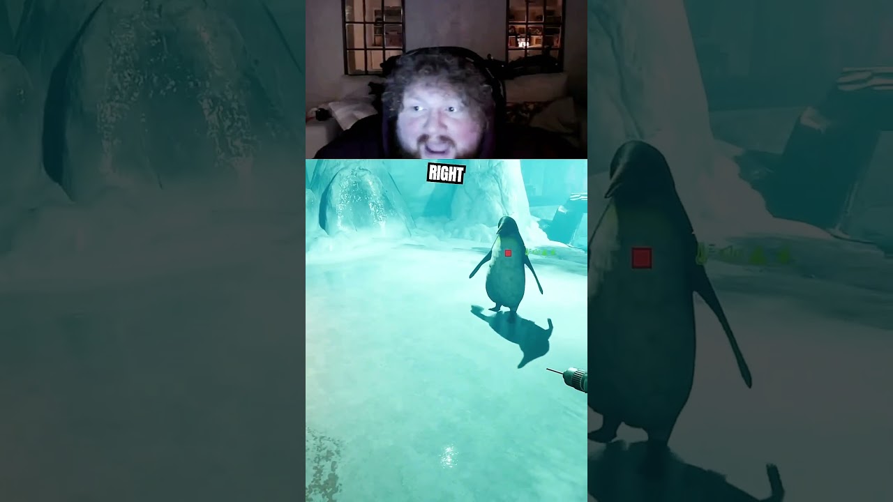 i cant believe this penguin listened to me #caseoh #caseohclips #funny #viral #memes