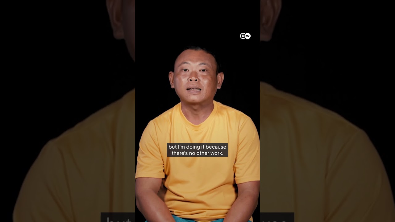 Illegal mangrove logging in Indonesia | DW Documentary