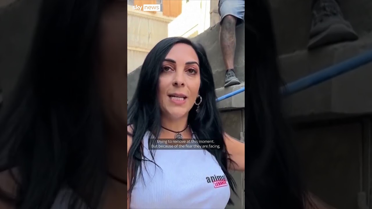 Kittens rescued after Israeli airstrike