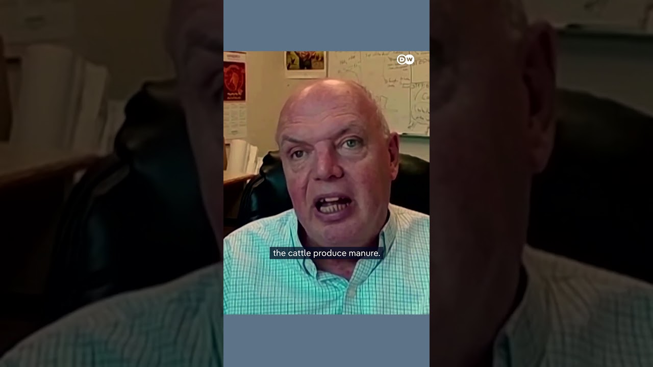 McDonald’s removes onions from many menus after a deadly E. coli outbreak | DW News