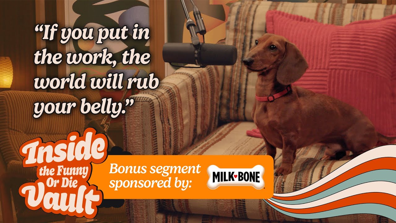 Meet Senzu The MilkBone Dog Who’s Taking Hollywood By Storm