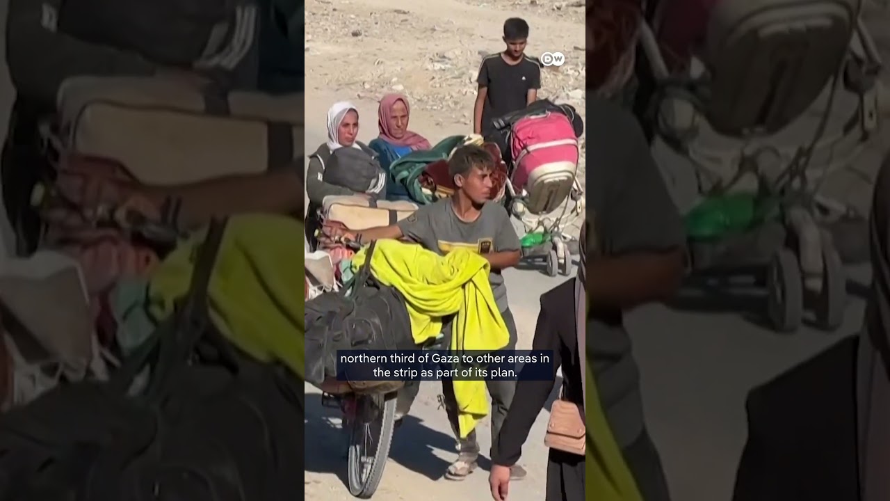 Palestinians rounded up by IDF in Gaza | DW News