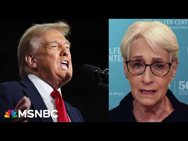 ‘Reckless approach’: Former Amb. raises alarm over how Trump would handle national security