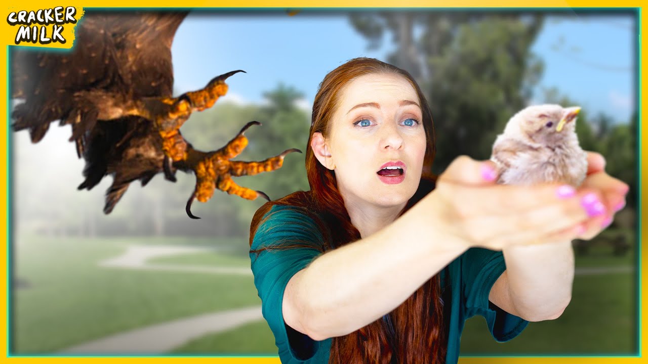 saving a baby bird but in Australia