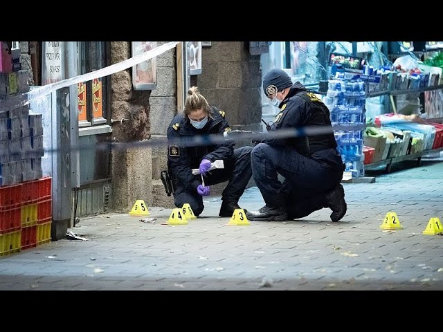 Swedish Prime Minister meets with Danish counterpart to discuss ways to tackle gang crime