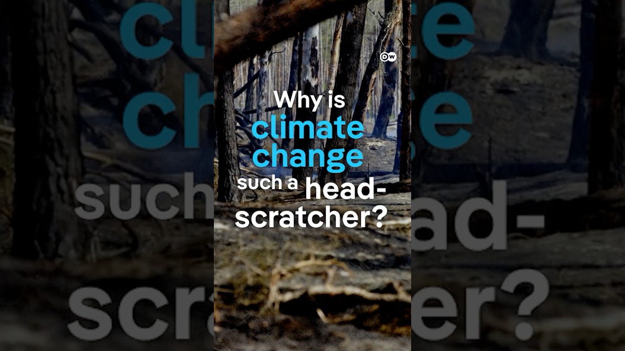 The climate change puzzle | DW Documentary