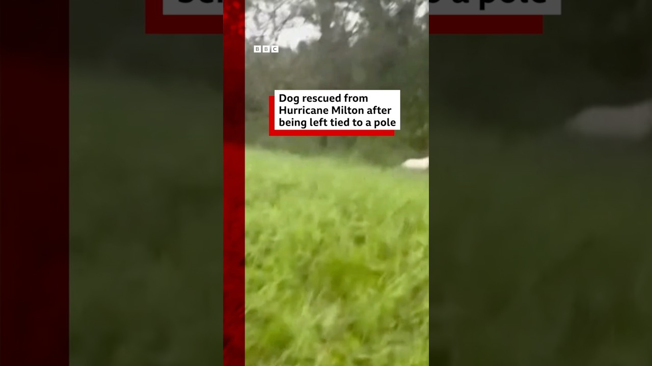 The Florida Highway Patrol asked locals “to not do this to your pets”. #HurricaneMilton #BBCNews