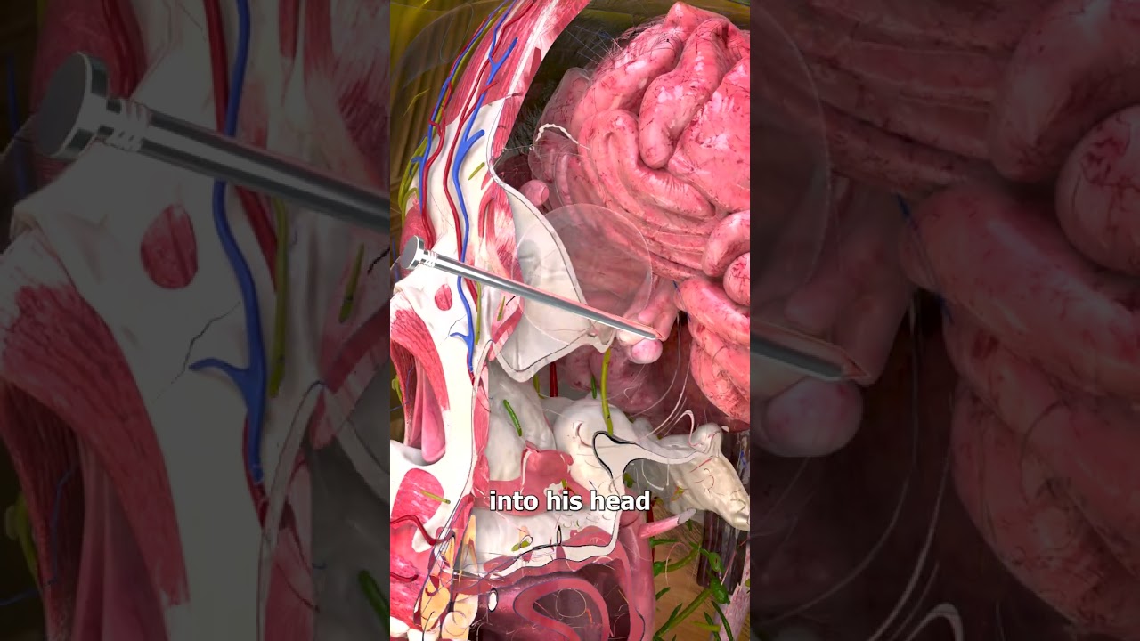 The Luckiest Man Alive 🤯 (explained)