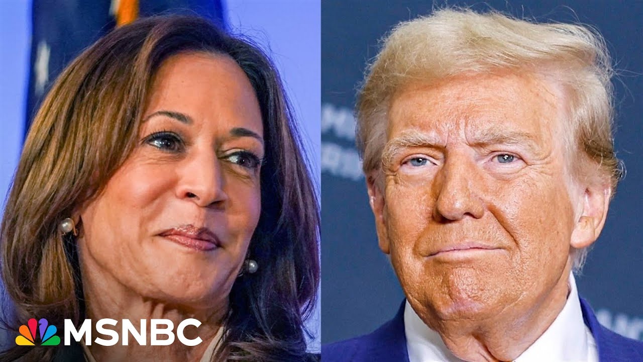 ‘Time, effort is critical’ for Harris campaign to capture Hispanic vote: NextGen America President