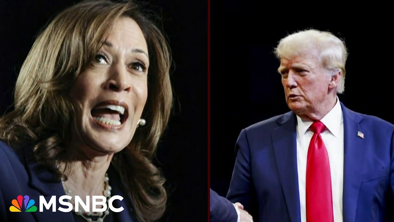 What TV and online metrics reveal about the 2024 race