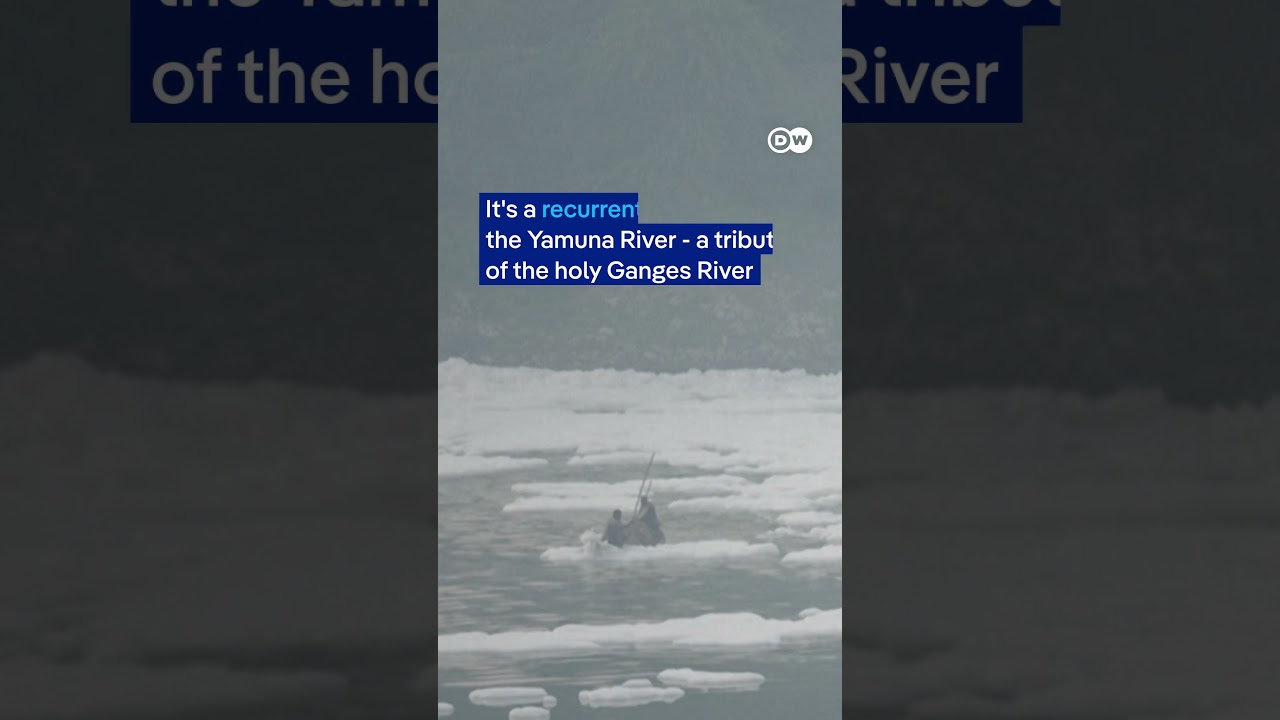 White toxic foam covers India’s Yamuna River | DW News