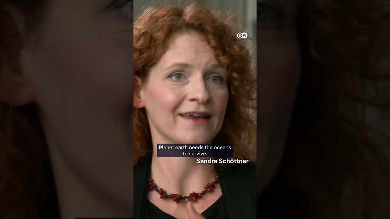 Why are oceans so important? | DW Documentary