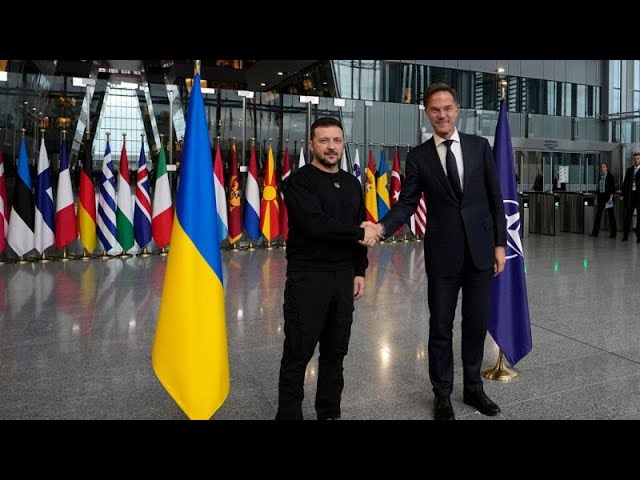 Zelenskyy stresses ‘NATO unity for Ukrainian cause’ after meeting with alliance’s chief