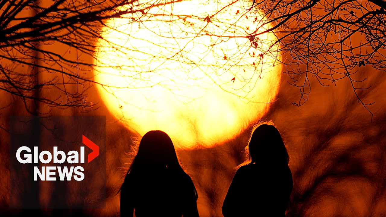 2024 will be hottest year on record: EU climate agency