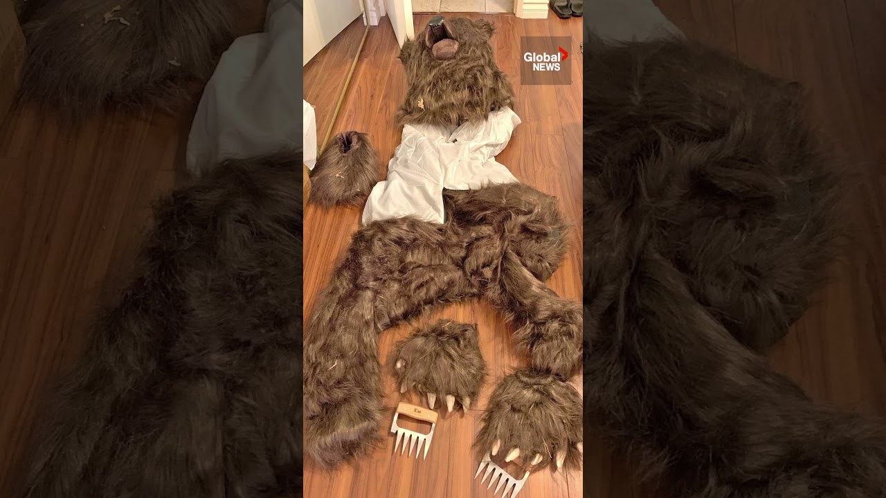 4 arrested in fake bear break-in car insurance scam