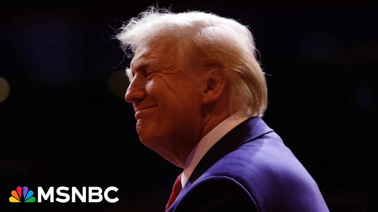 ‘Ability to underestimate Trump’ is biggest takeaway for Dems after election: Molly Jong-Fast