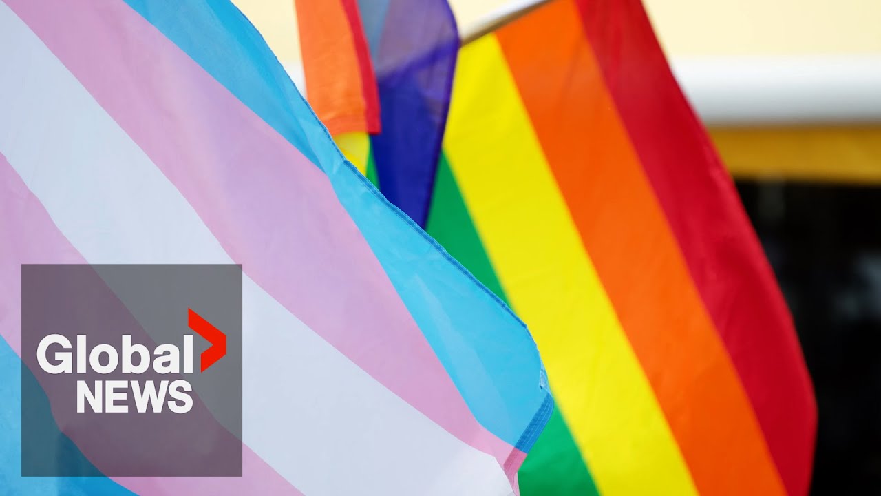 Alberta tables bills affecting transgender youth, student pronouns, sex education