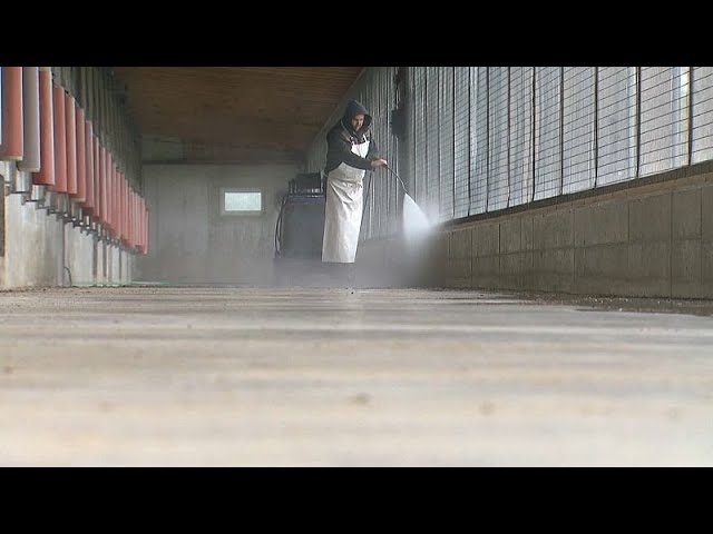 Austria’s Health Ministry declares whole country an avian influenza high risk area