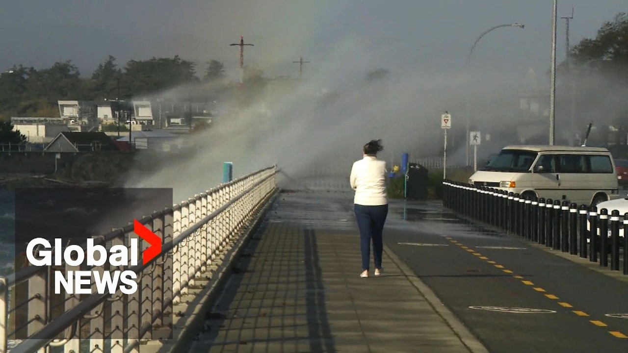 BC storm: Destructive wind topples trees, knocks out power on South Coast