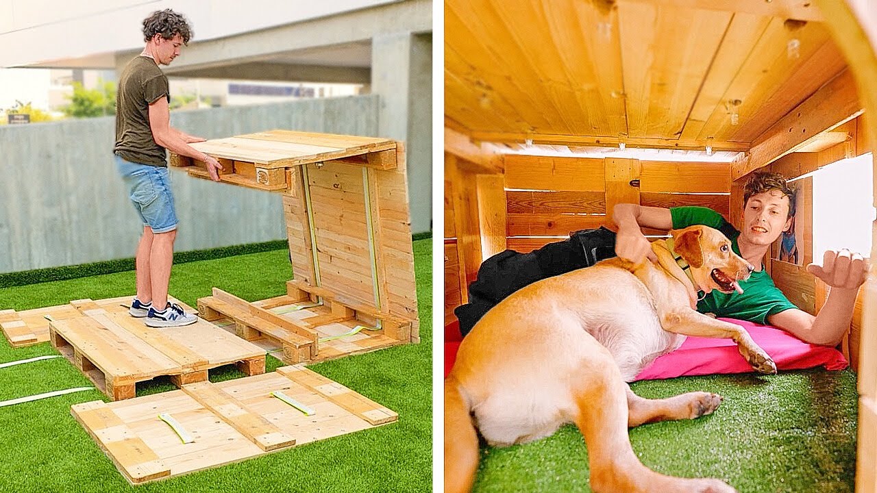 Beautiful & Easy Designed DIY Dog Houses Your Pets Will Love