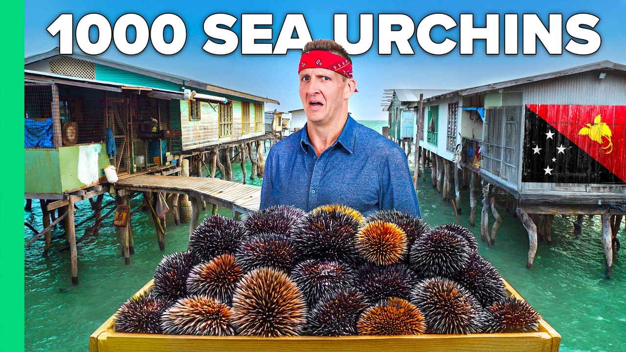Cooking 1000 Sea Urchins!! Papua’s Ocean Tribe!!