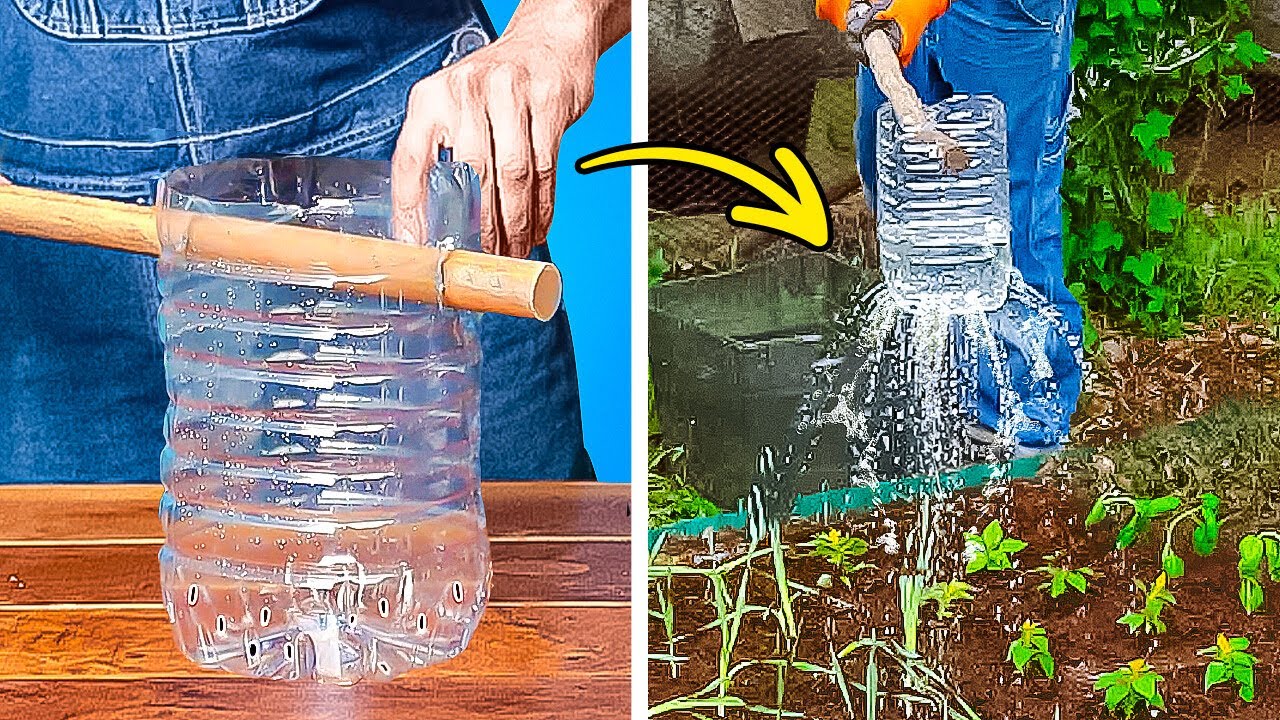 DIY PLANT GROWING IDEAS 🪴 TOP GARDENING TIPS